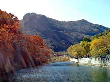 新澳天天开奖资料大全旅游团，加油站闹鬼